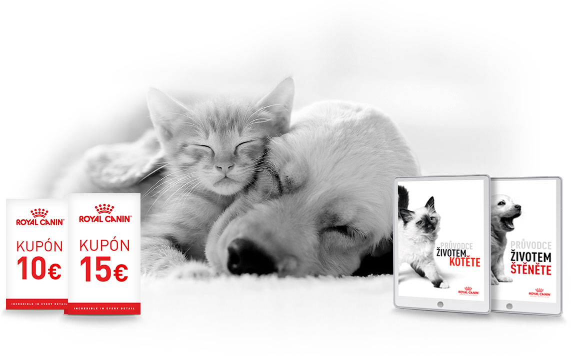 Royal Canin