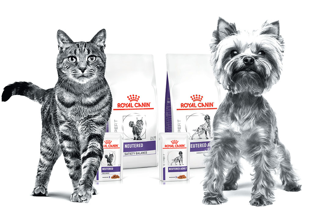 Royal Canin